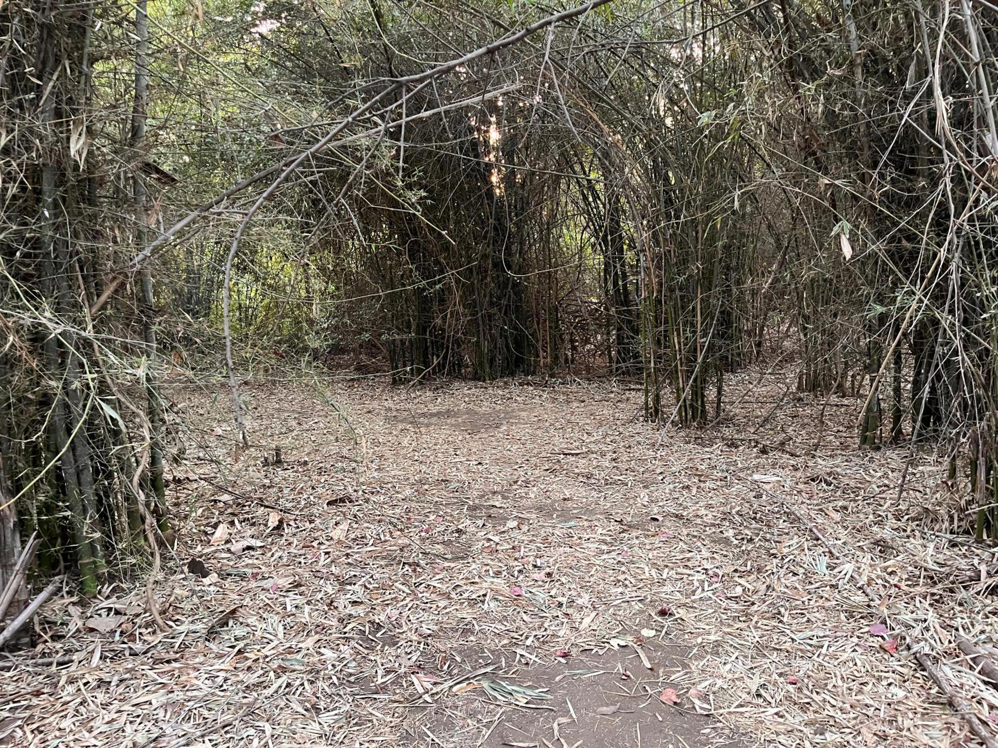 Brook Ville Sasan Gir Luaran gambar