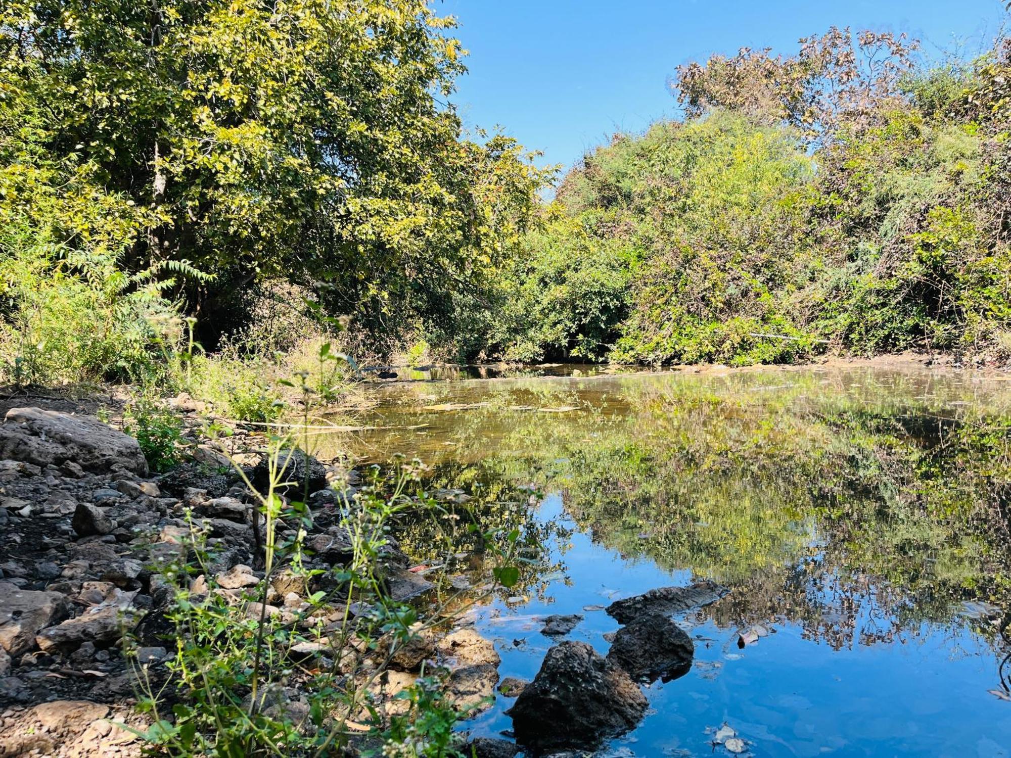 Brook Ville Sasan Gir Luaran gambar