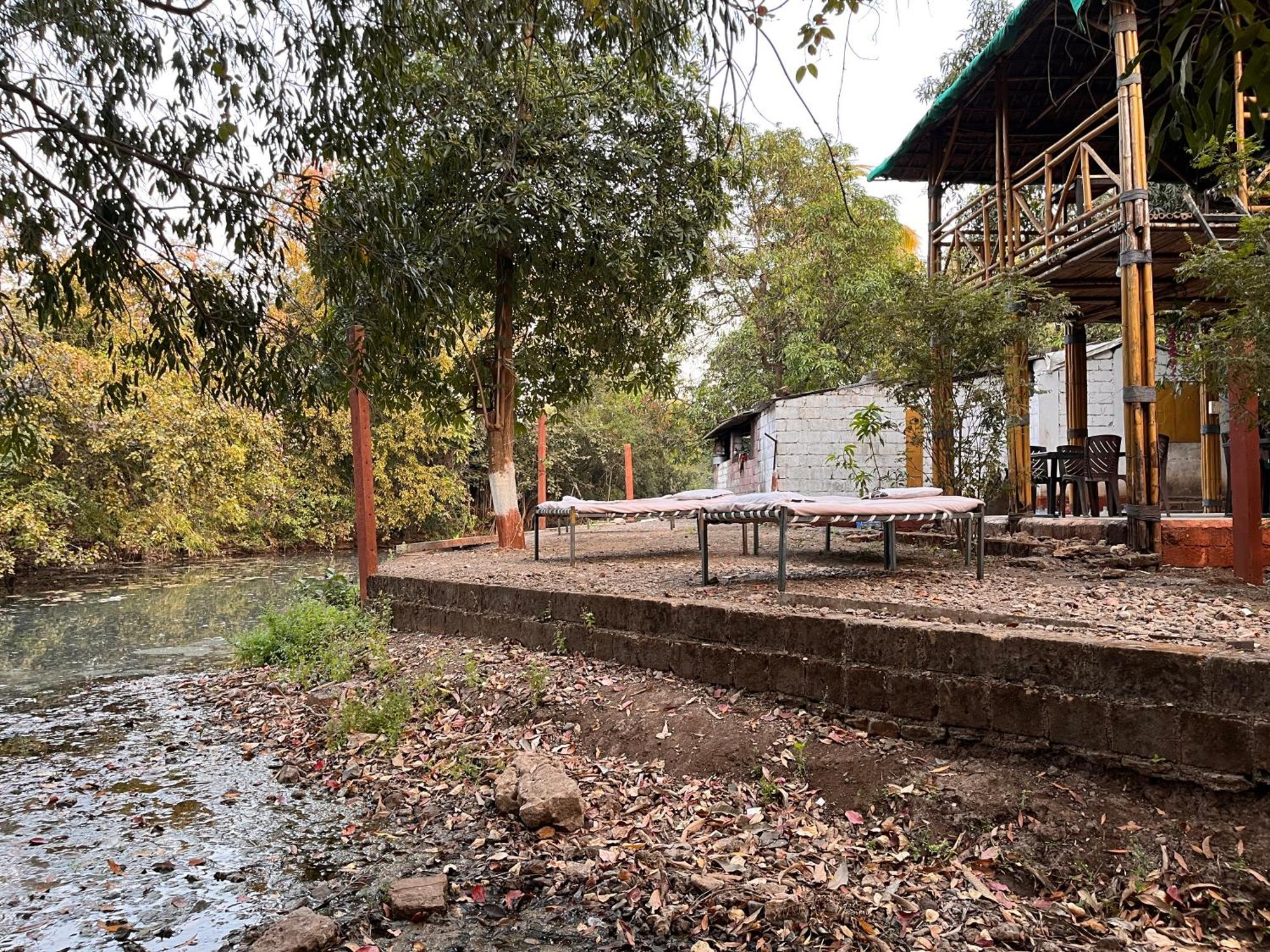 Brook Ville Sasan Gir Luaran gambar