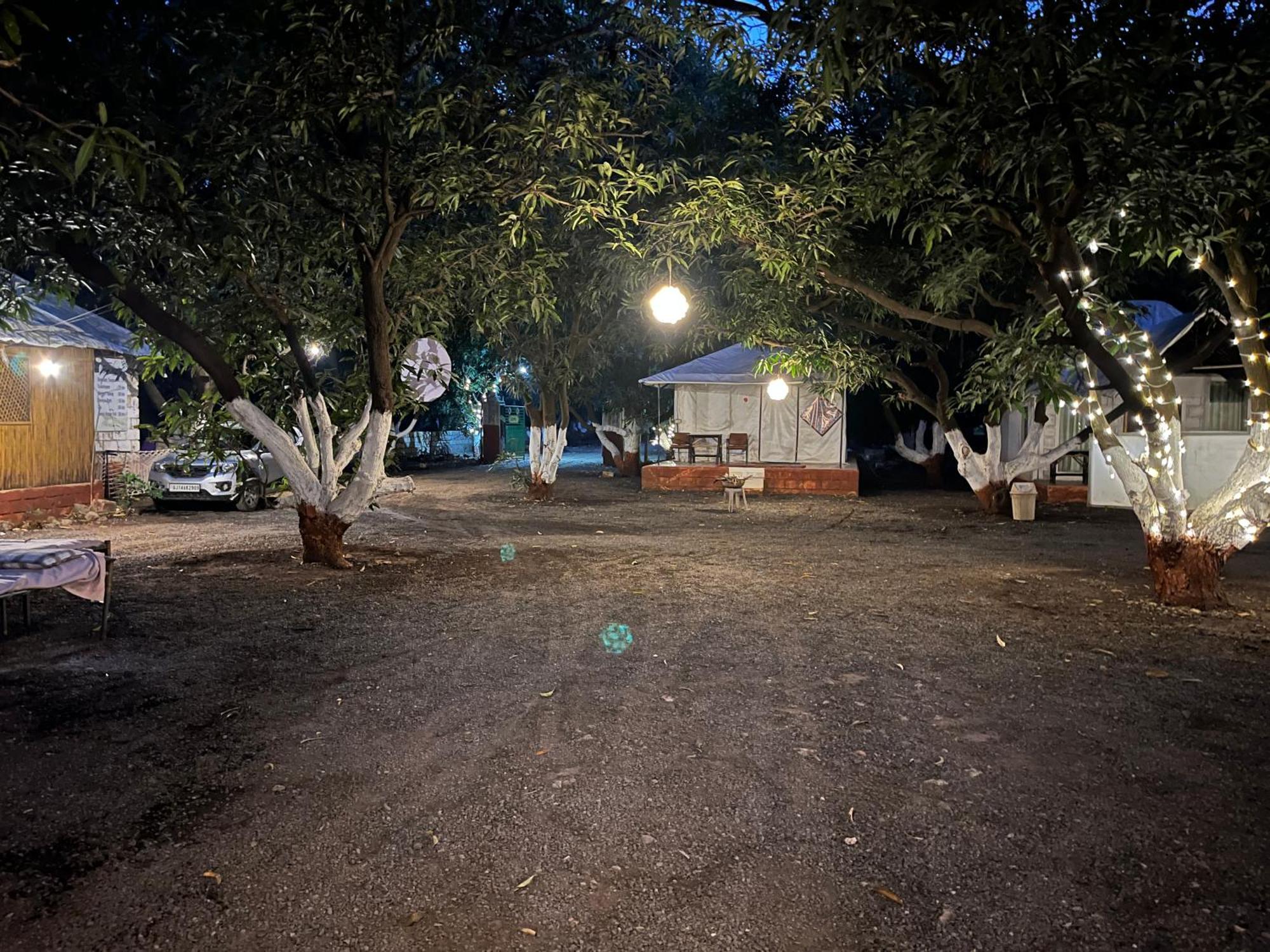 Brook Ville Sasan Gir Luaran gambar