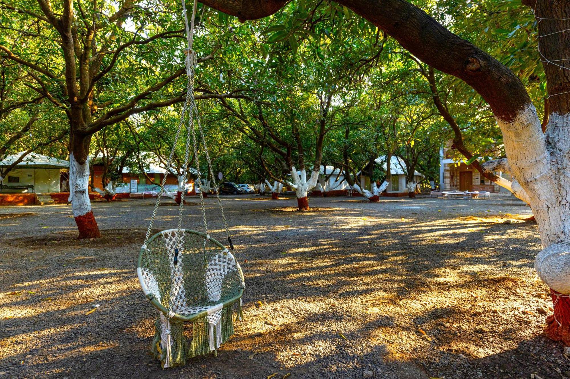 Brook Ville Sasan Gir Luaran gambar