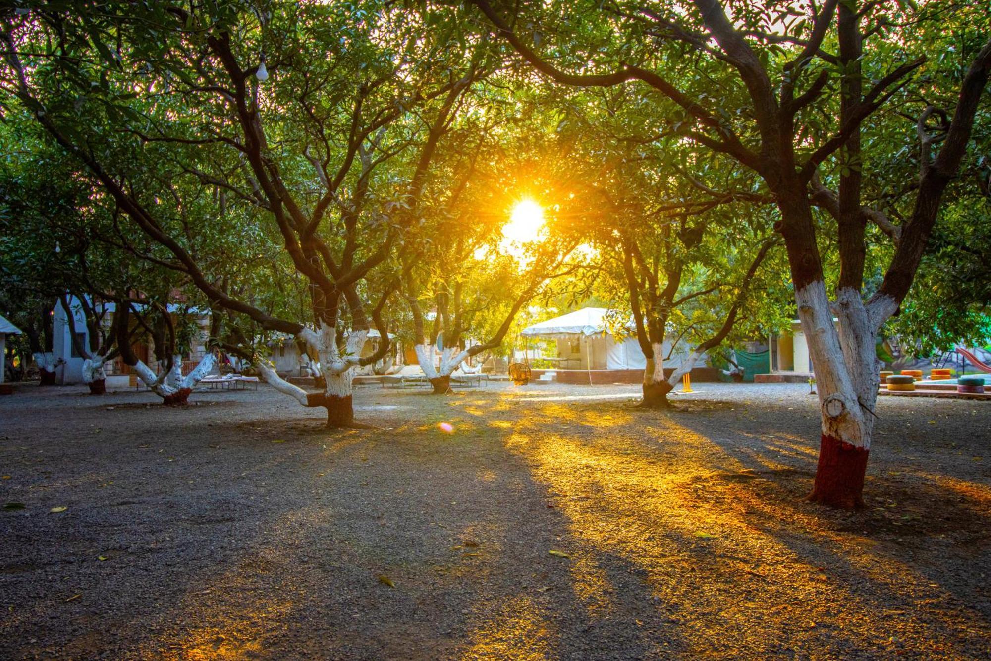 Brook Ville Sasan Gir Luaran gambar