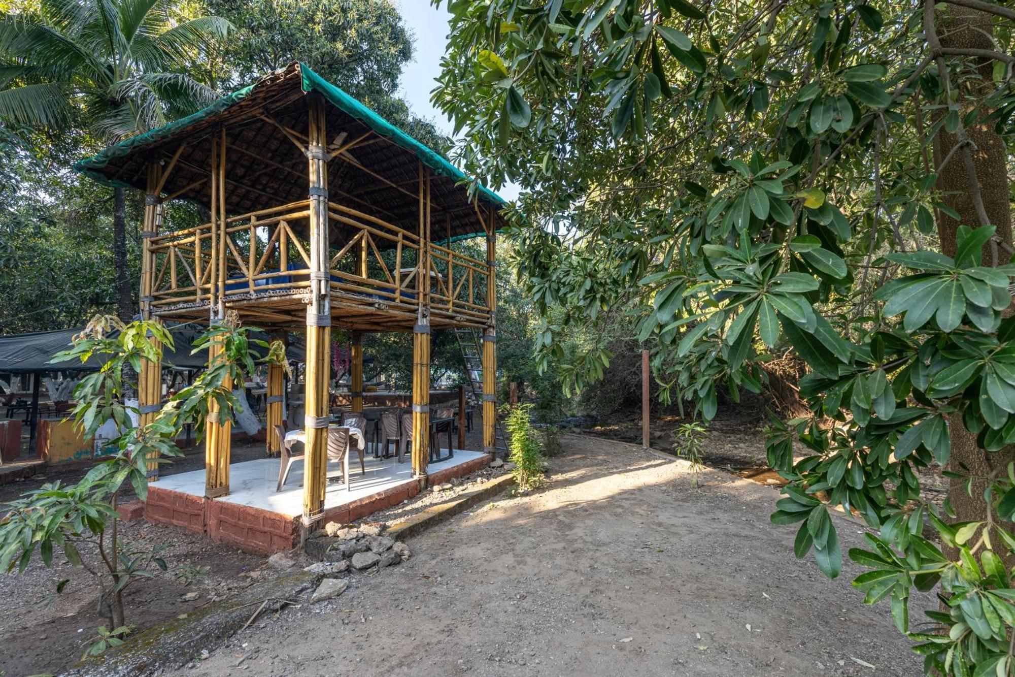 Brook Ville Sasan Gir Luaran gambar