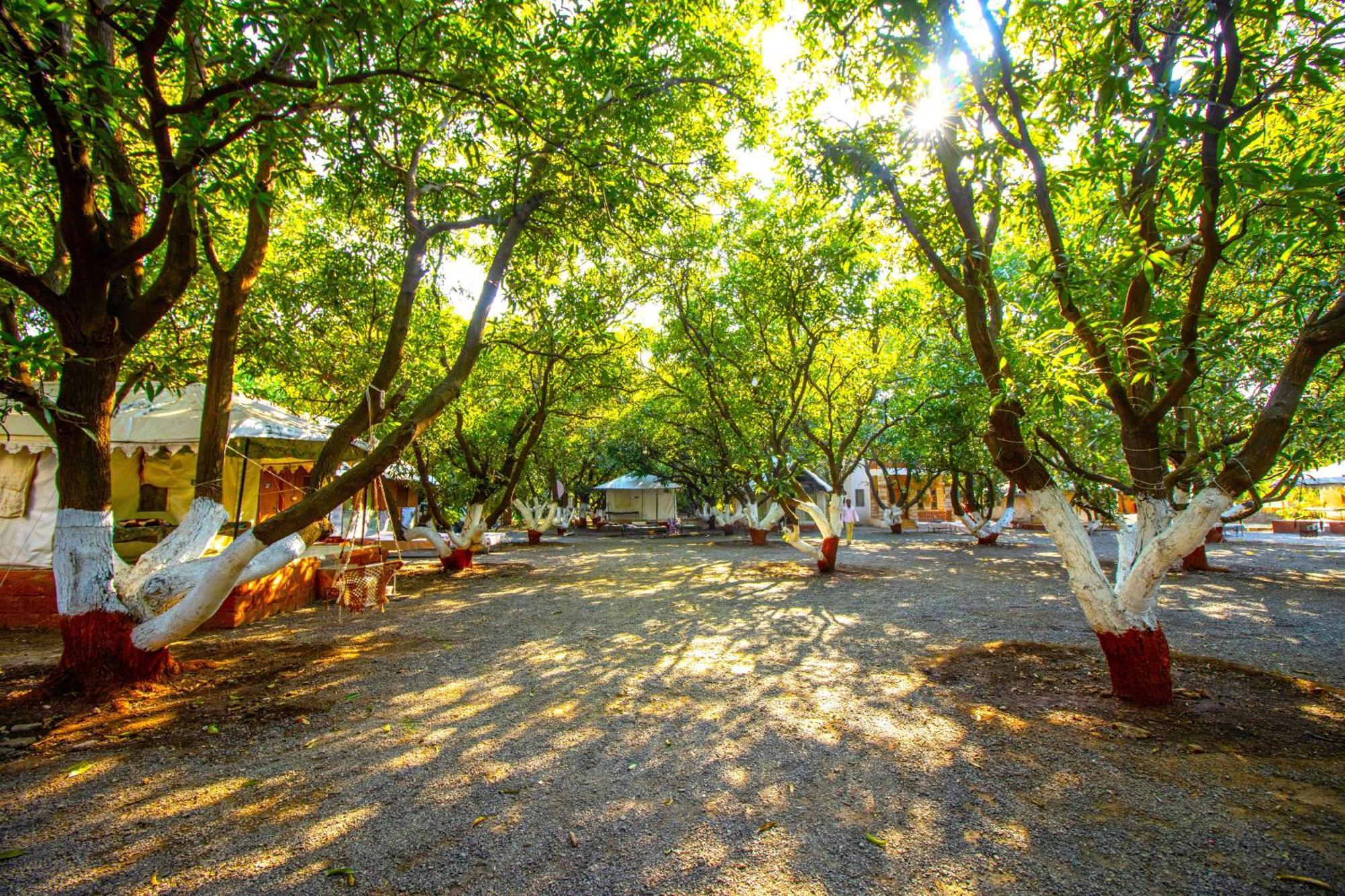 Brook Ville Sasan Gir Luaran gambar