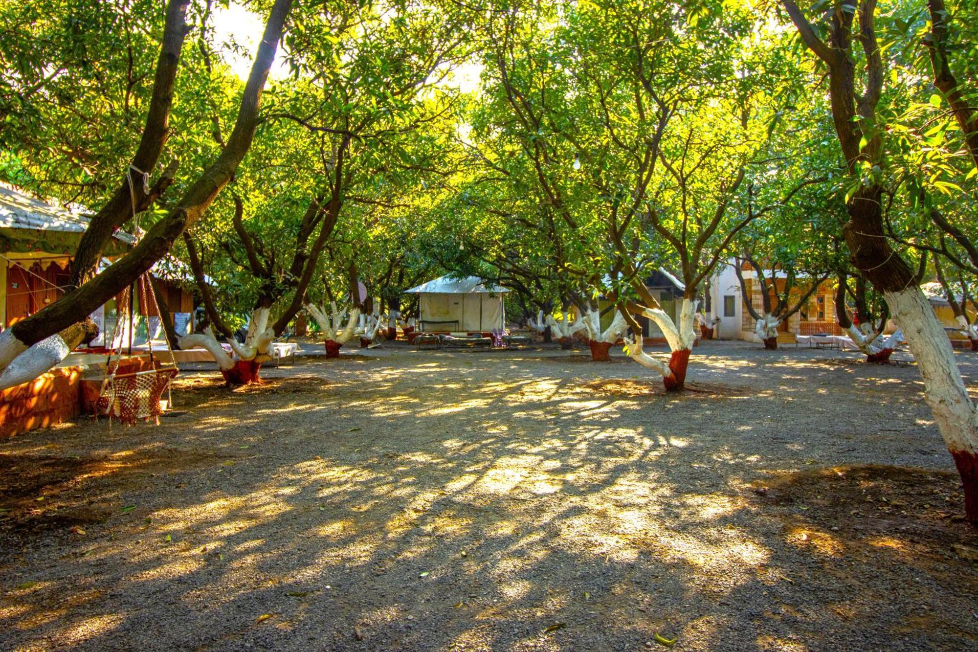 Brook Ville Sasan Gir Luaran gambar