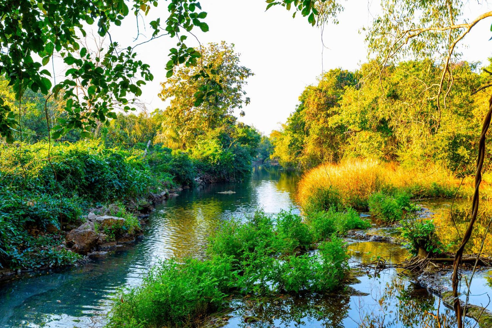 Brook Ville Sasan Gir Luaran gambar