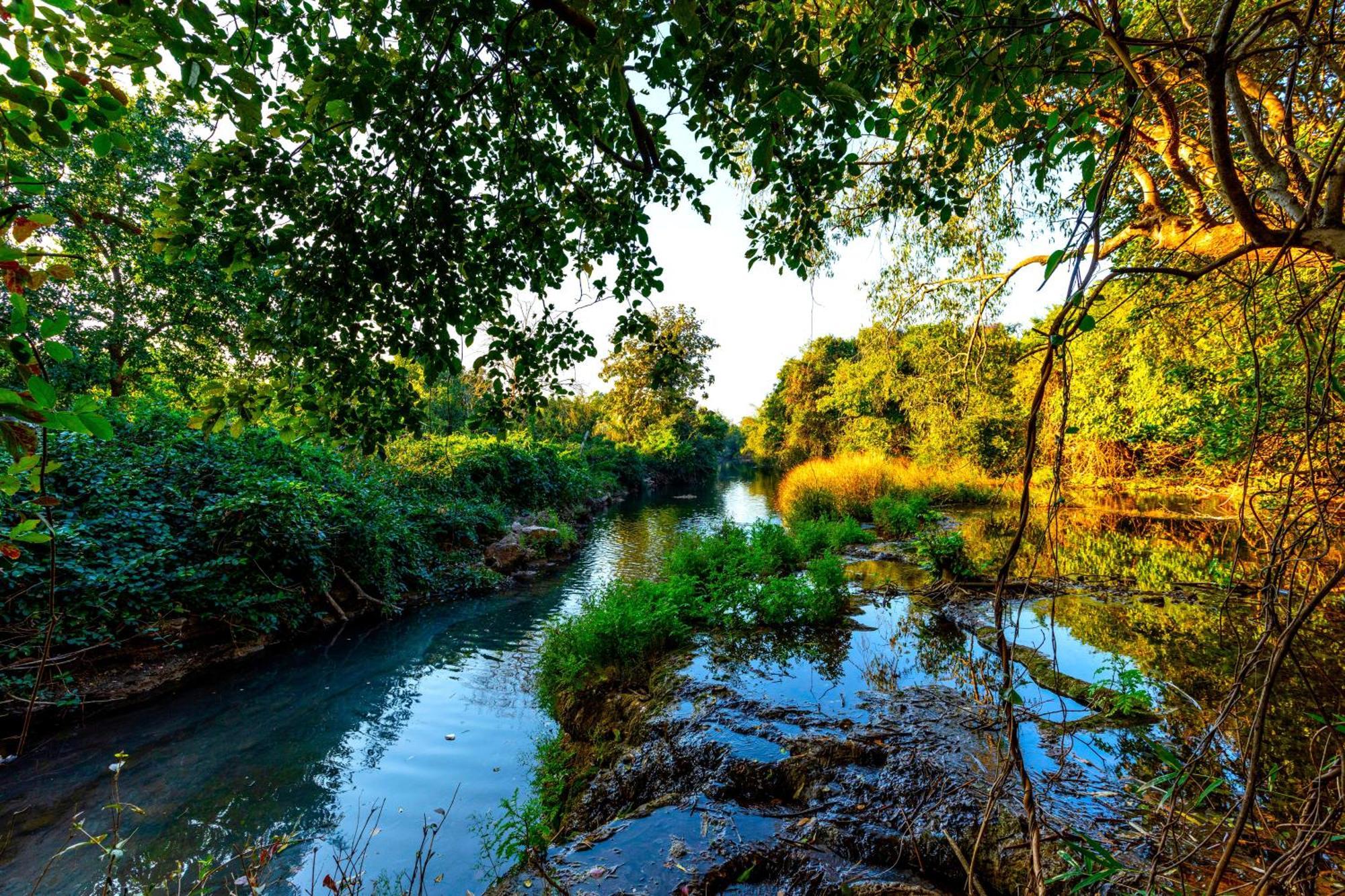 Brook Ville Sasan Gir Luaran gambar